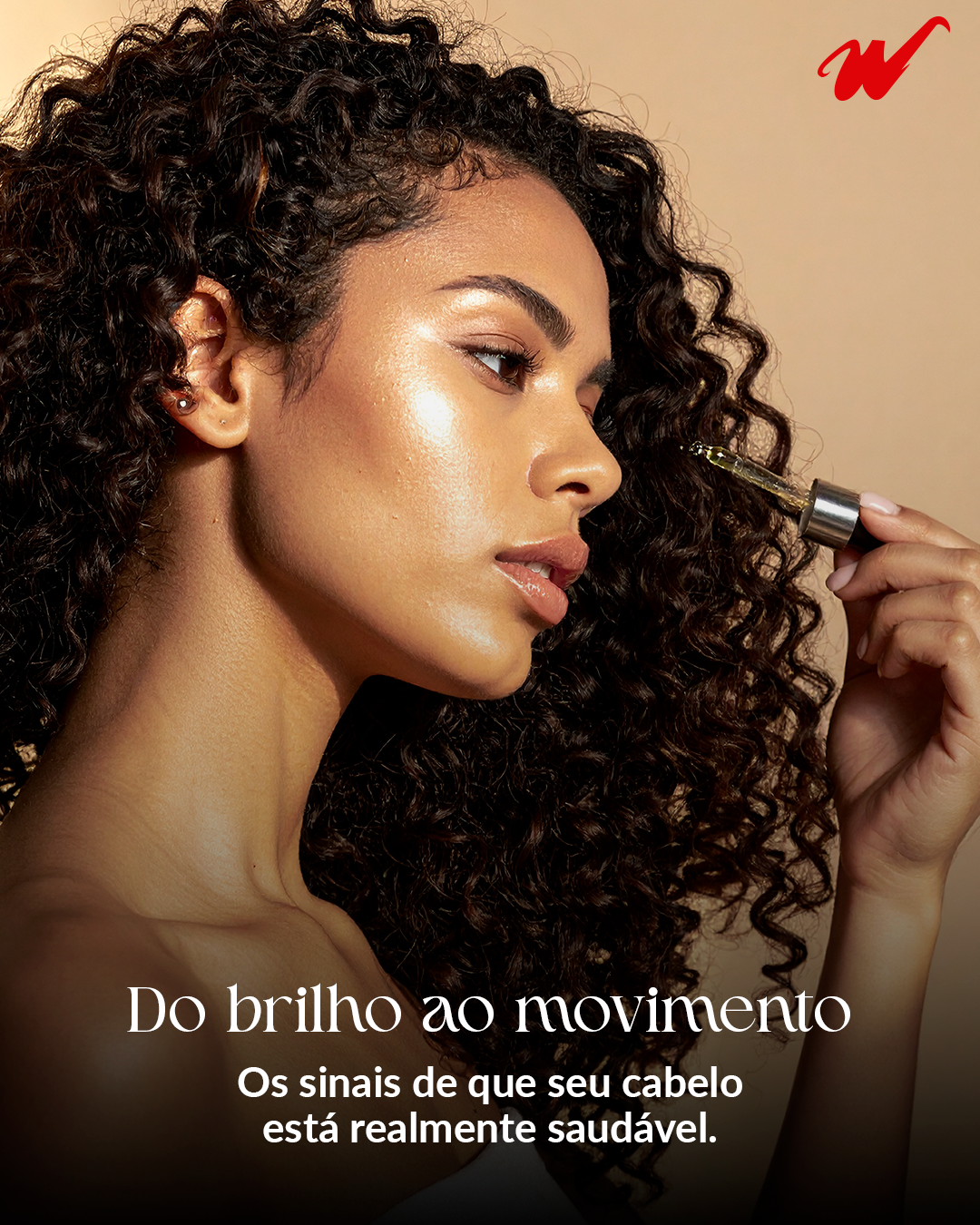 werner-do-brilho-ao-movimento